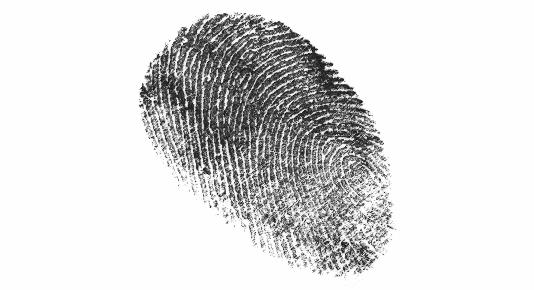 https://d300zch48kanqv.cloudfront.net/original_images/4574-Identity-Report-Header-Image.jpg
